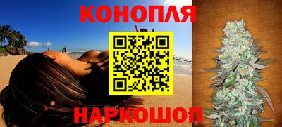 стафф Аргун
